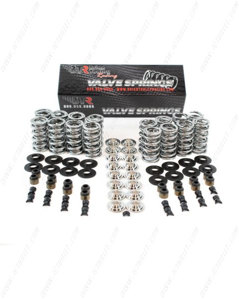 BTR PLATINUM LS DUAL SPRING KIT - .660