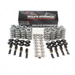 BTR-SK001 BTR PLATINUM LS DUAL SPRING KIT - .660" LIFT